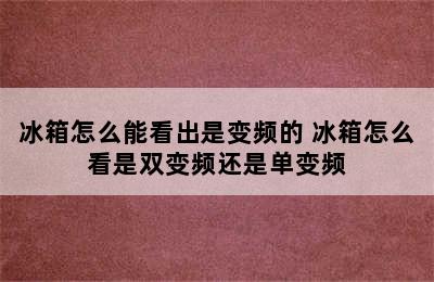 冰箱怎么能看出是变频的 冰箱怎么看是双变频还是单变频